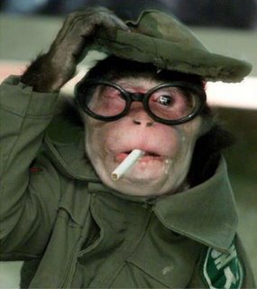 FunMozar – Funny Monkeys With Glasses FunMozar – Funny Monkeys With Glasses