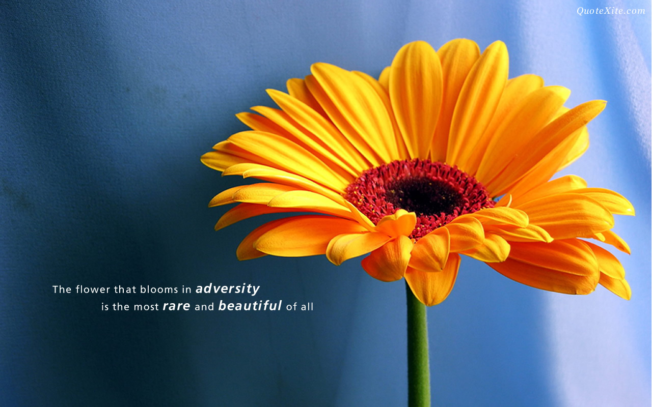 Inspirational Flower Quotes