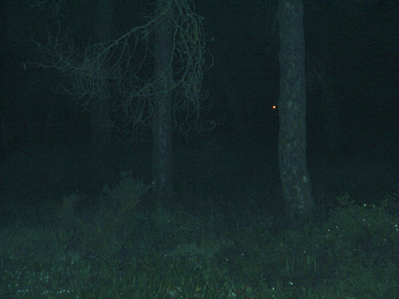 фанфик желтые глаза в темноте леса премьер фото 67