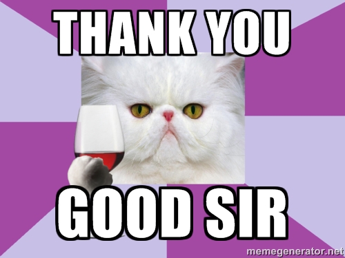 Thank-You-Cat-Meme-1.jpg