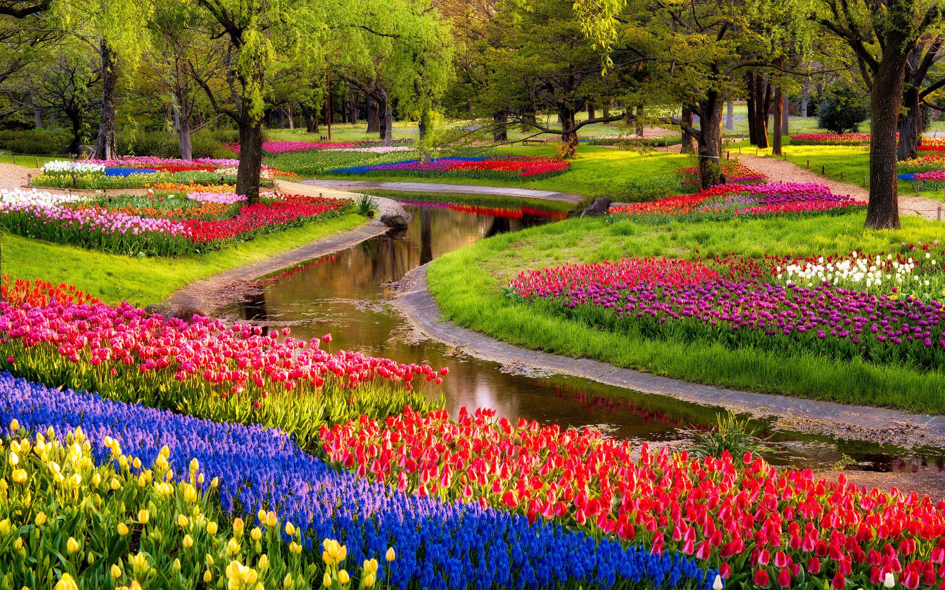 garden design with amazing flower garden wallpaper danasokgtop with landscaping budget from danasokg - Beautiful Flower Gardens Waterfalls garden design with amazing flower garden wallpaper danasokgtop with landscaping budget from danasokg - Beautiful Flower Gardens Waterfalls