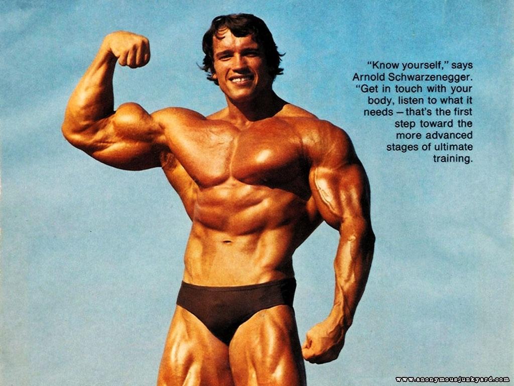 arnold bodybuilding