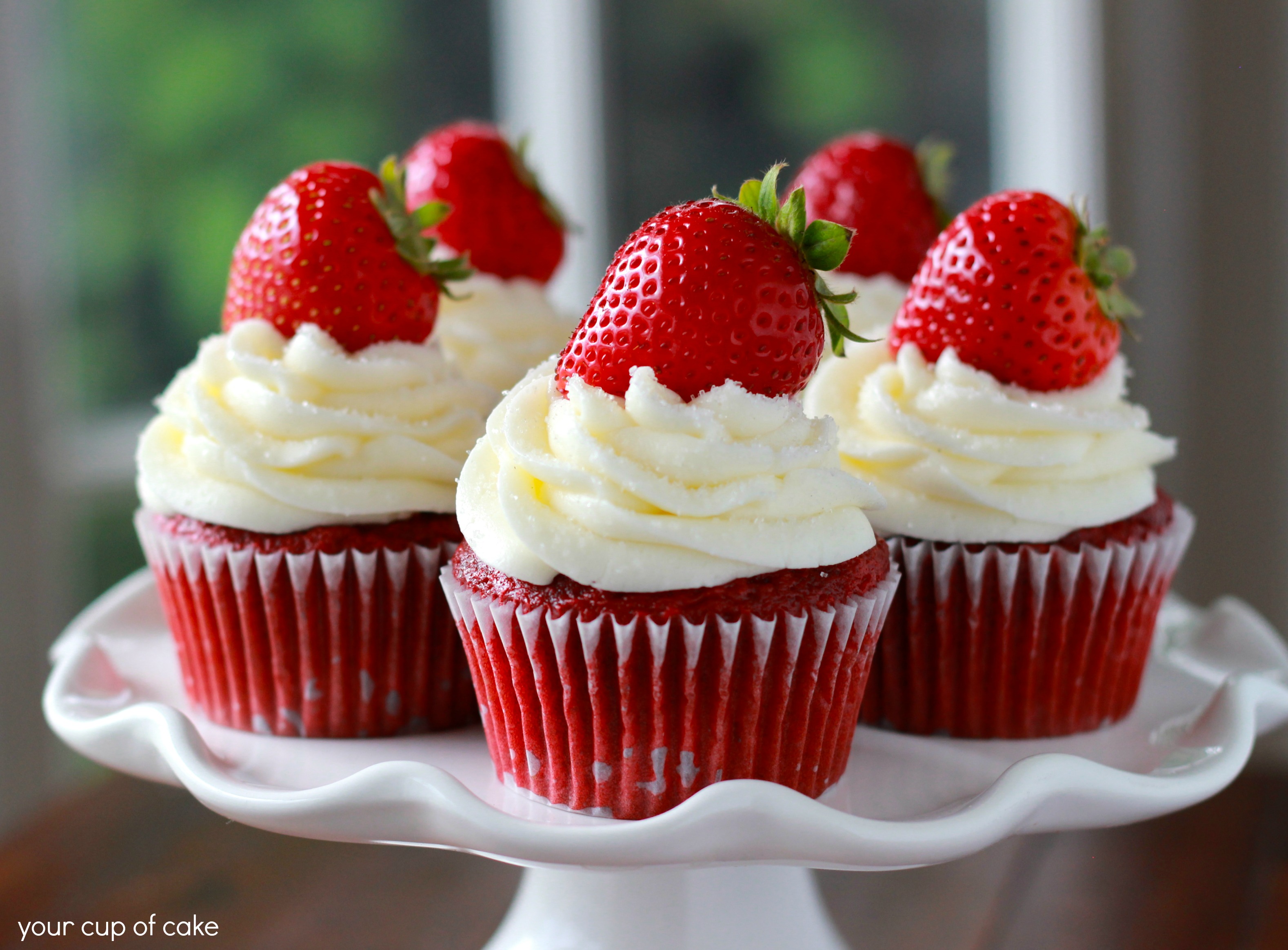 red cupcake velvet cups in recipe Red Velvet Wallpaper Hd (4) Cupcake red cupcake velvet cups in recipe Red Velvet Wallpaper Hd (4) Cupcake